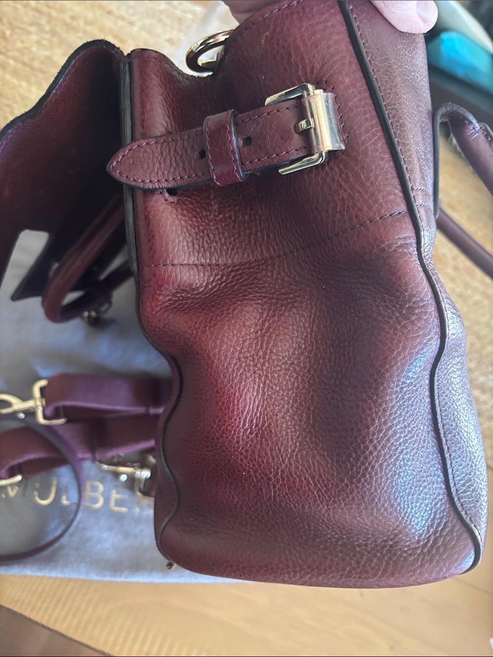 Mulberry Cara Delevigne backpack - Picture 15 of 16